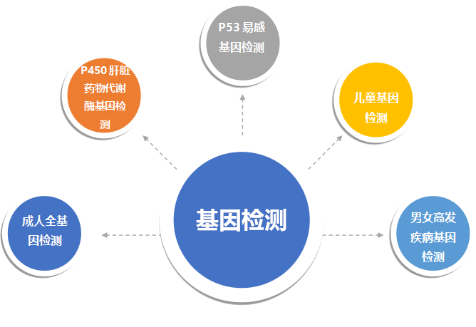 基因检测卡通图片